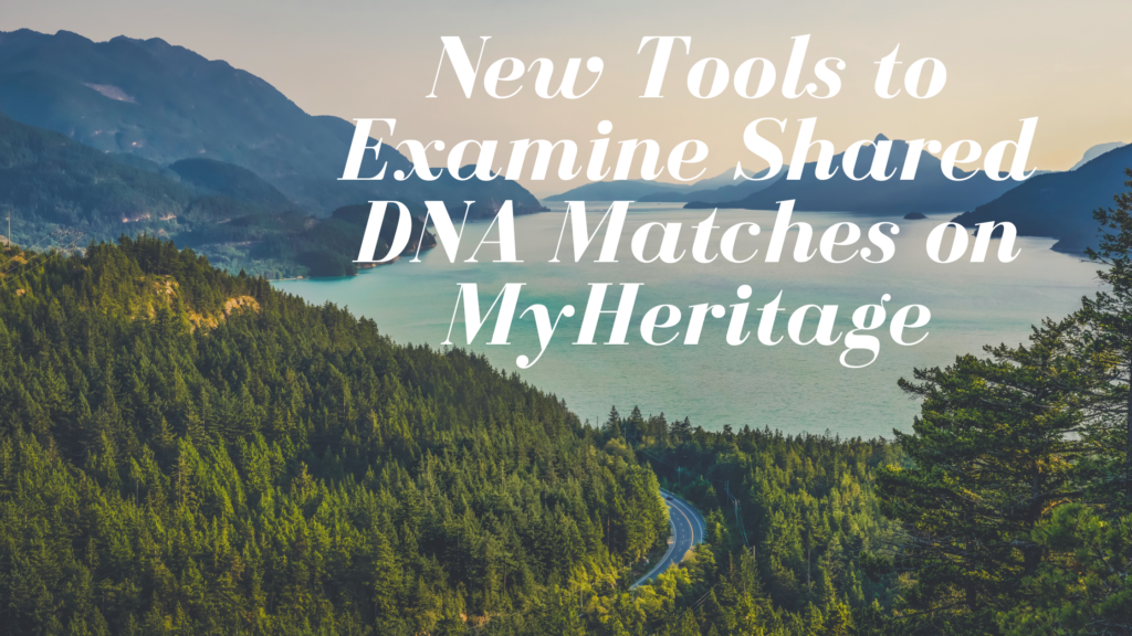 New Tools to Examine Shared DNA Matches on MyHeritage