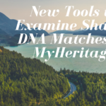 New Tools to Examine Shared DNA Matches on MyHeritage